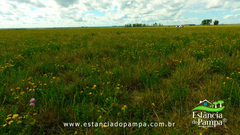 DOS EÓLICOS VIRA P FAZENDA_Moment.00_02_09_05.Quadro186_c7d90942dac3de70484e8092fc38d7f5fe973989.jpg